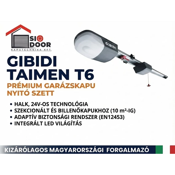 GIBIDI TAIMEN T6 garázskapu motor szett
